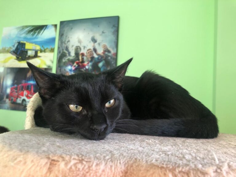 multimedia-foto68542-684-1