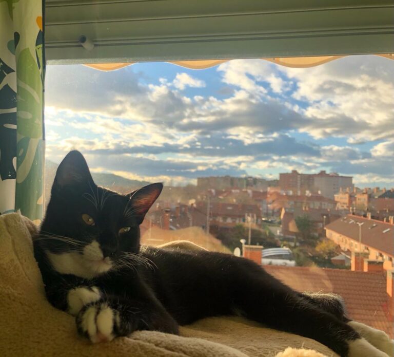 multimedia-foto68543-749-1