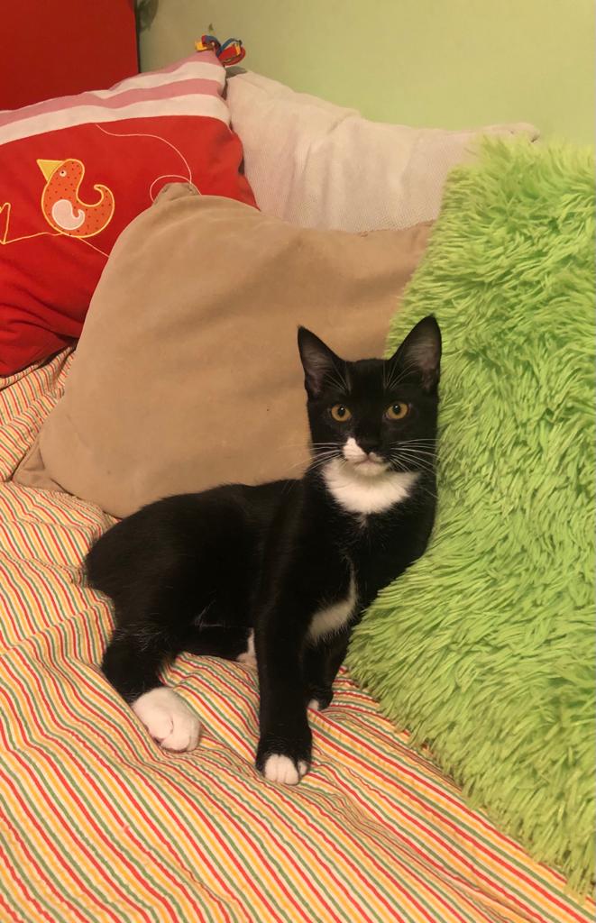 multimedia-foto68544-749-1