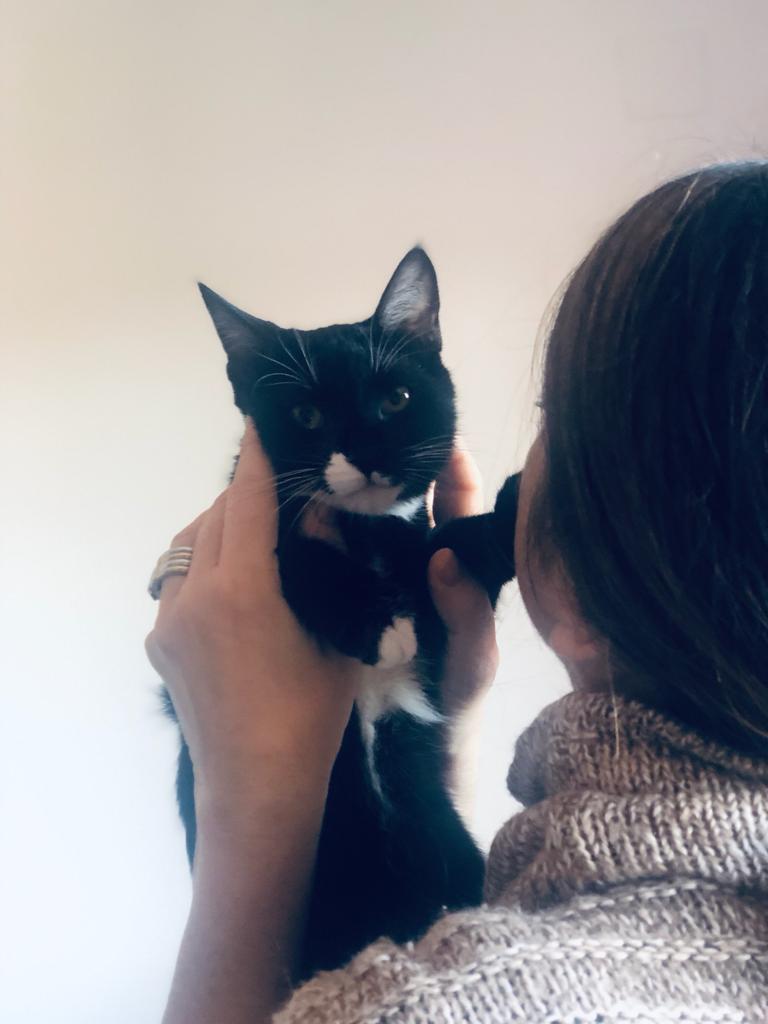 multimedia-foto68546-750-1