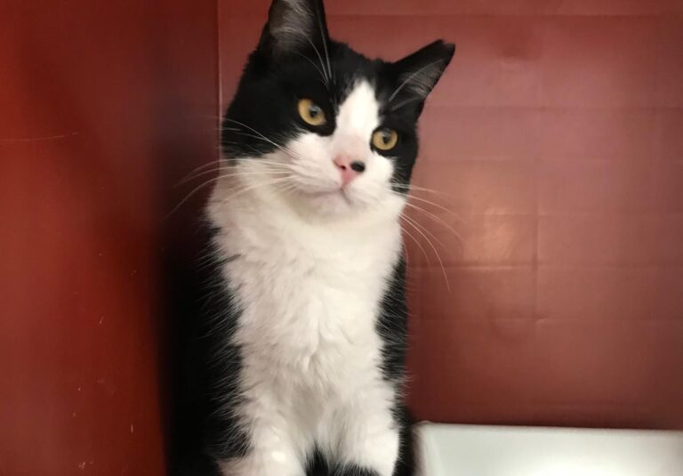 multimedia-foto68617-842-1