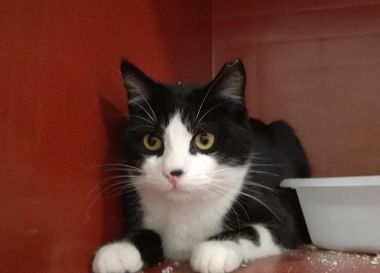 multimedia-foto68618-842-1