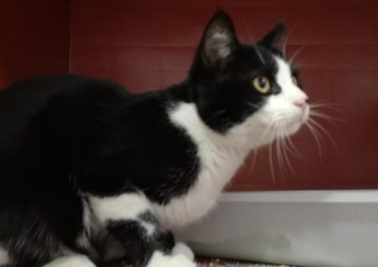 multimedia-foto68619-843-1