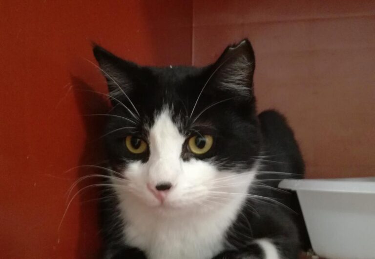 multimedia-foto68621-844-1