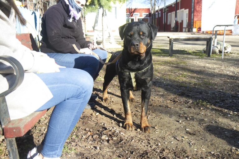 multimedia-foto68656-140-1