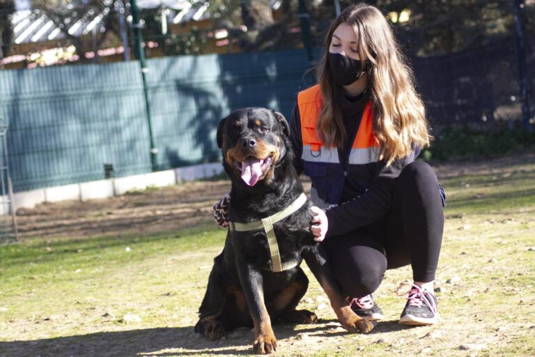 multimedia-foto68657-140-1