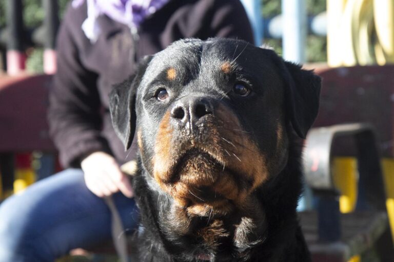 multimedia-foto68658-141-1