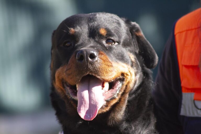 multimedia-foto68659-141-1