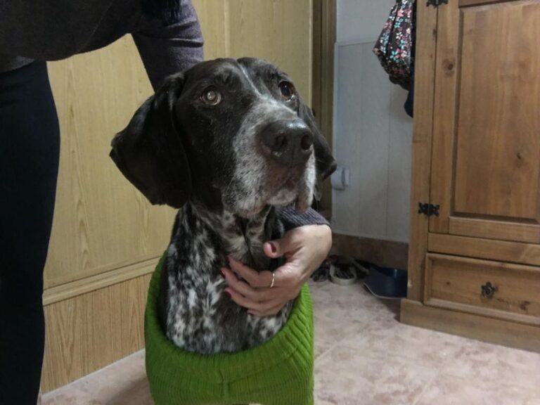 multimedia-foto68684-685-1