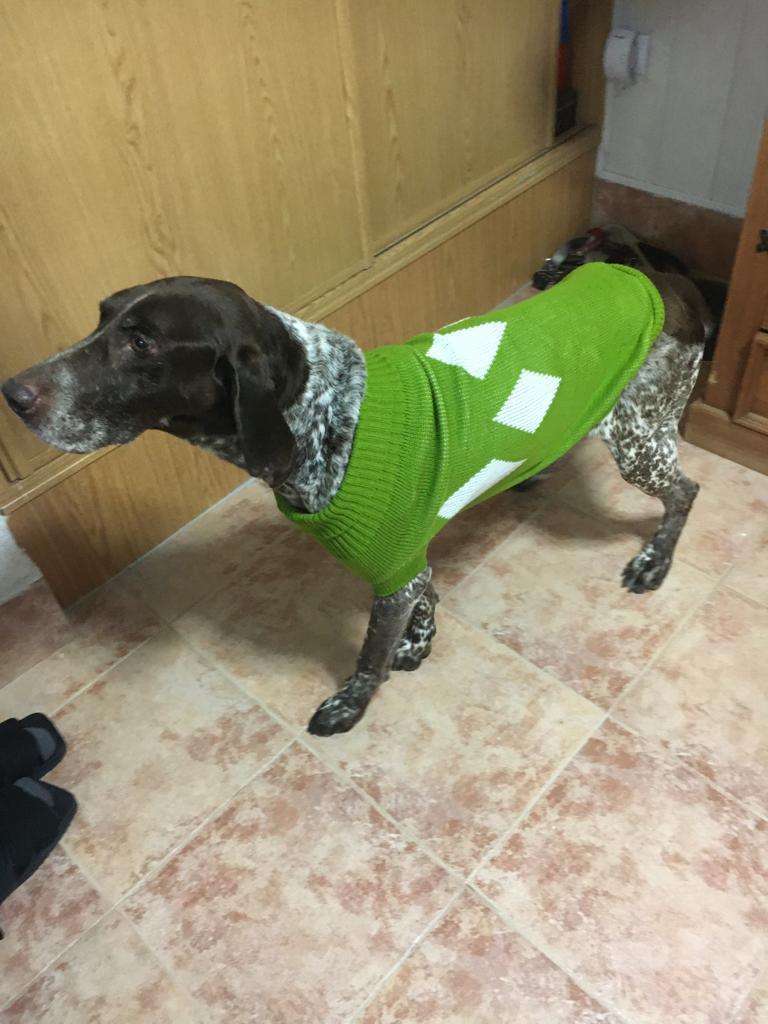 multimedia-foto68685-685-1