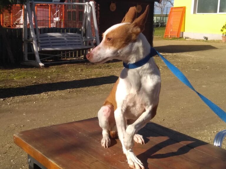 multimedia-foto68700-69-1