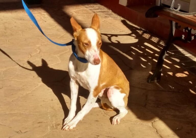 multimedia-foto68701-69-1