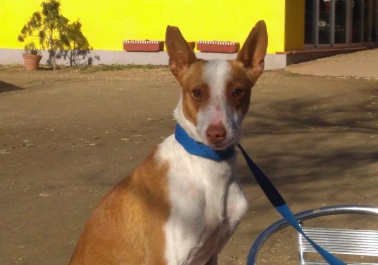 multimedia-foto68704-71-1