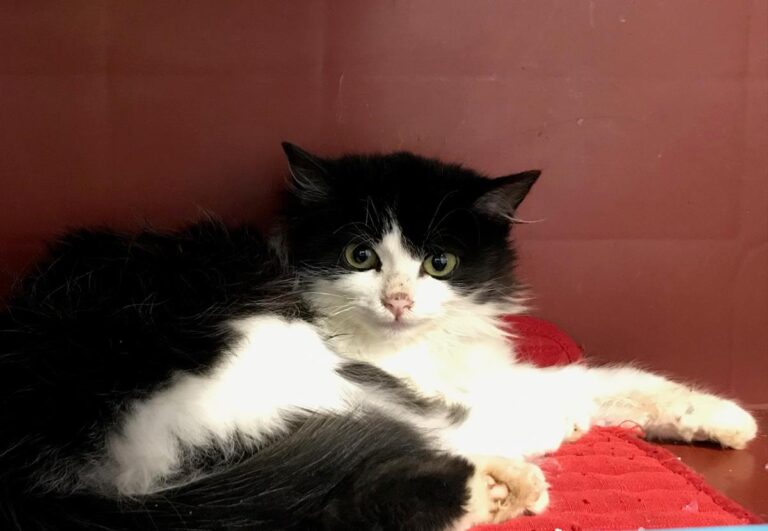 multimedia-foto68723-455-1