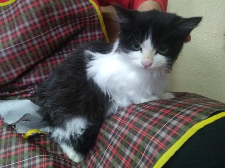 multimedia-foto68724-456-1