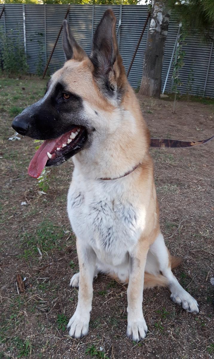 multimedia-foto68763-551-1