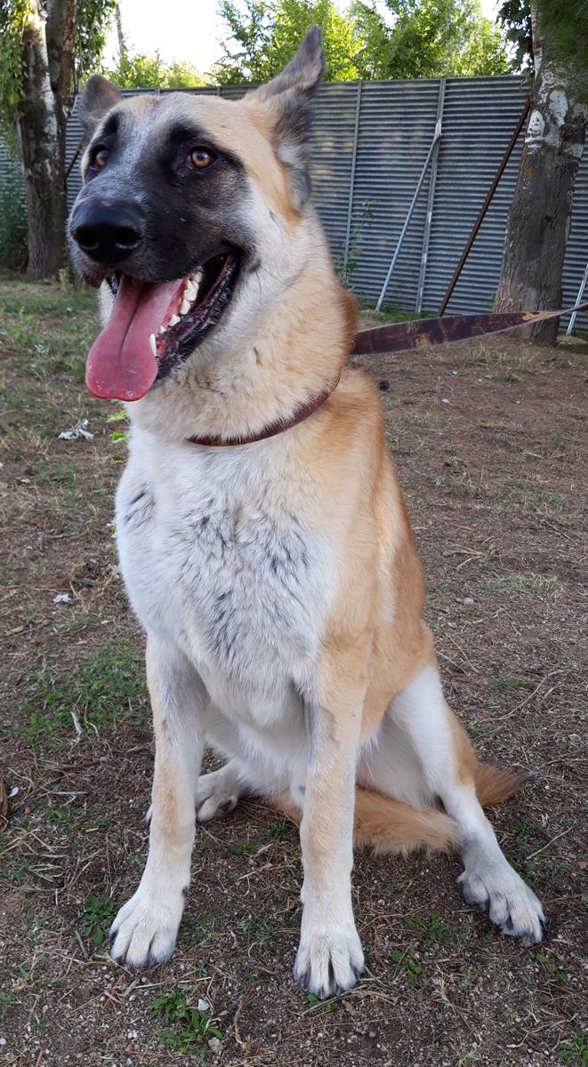 multimedia-foto68764-552-1