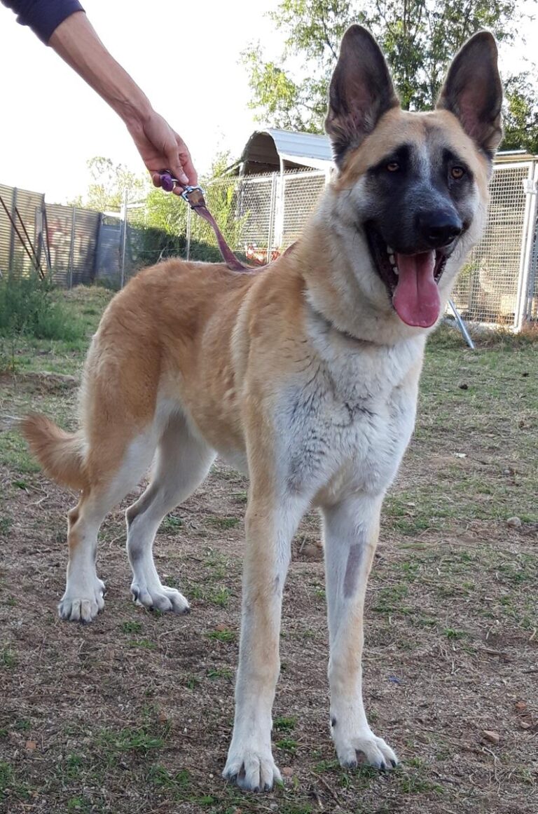 multimedia-foto68765-552-1