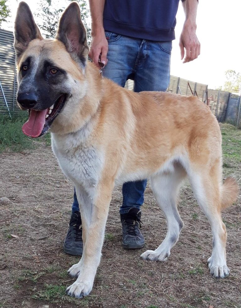 multimedia-foto68766-553-1