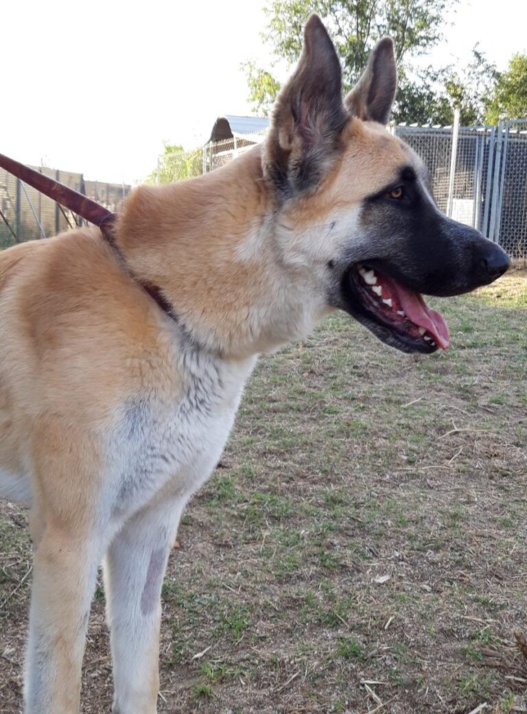 multimedia-foto68767-553-1