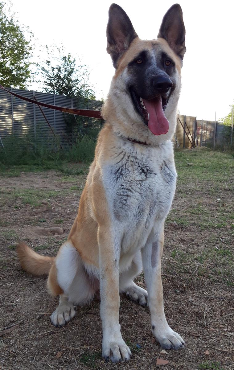 multimedia-foto68768-554-1