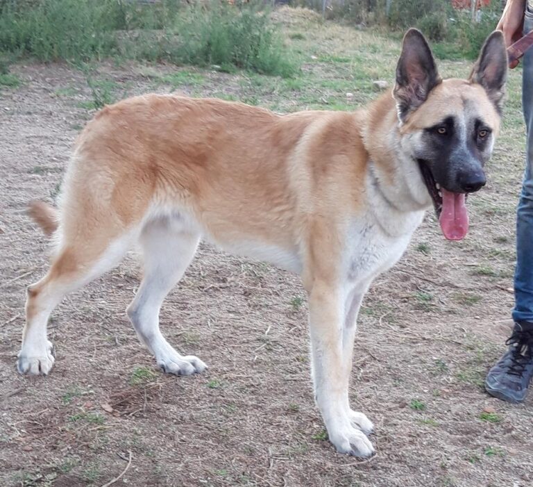 multimedia-foto68771-556-1