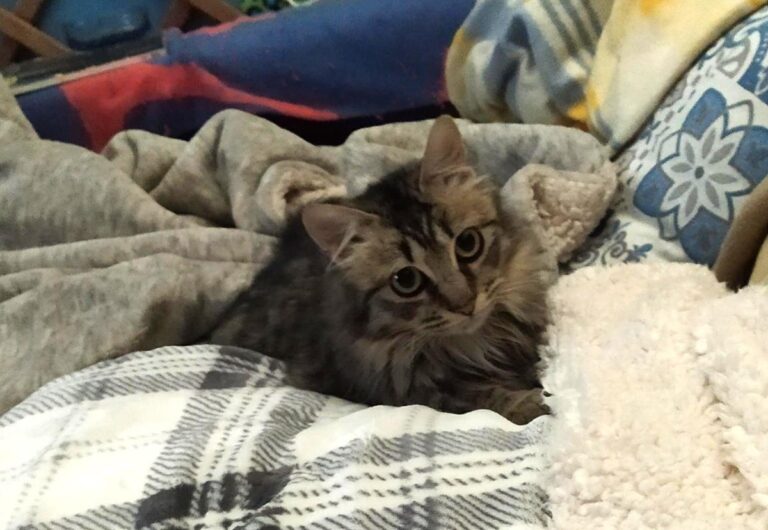 multimedia-foto68772-391-1