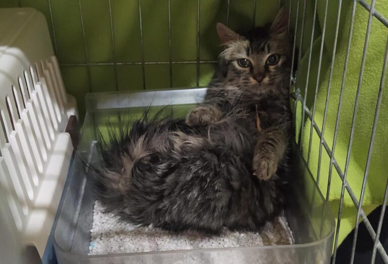 multimedia-foto68773-392-1