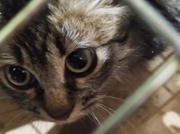 multimedia-foto68774-392-1