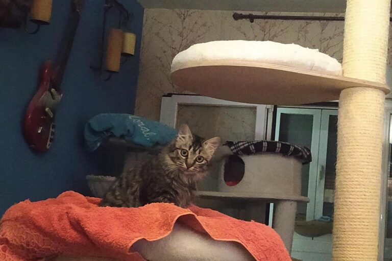 multimedia-foto68775-393-1