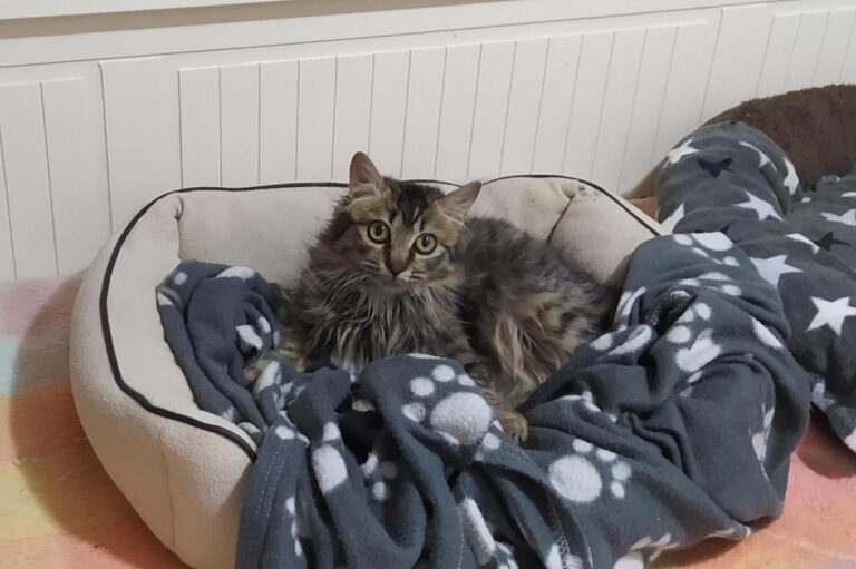 multimedia-foto68776-394-1