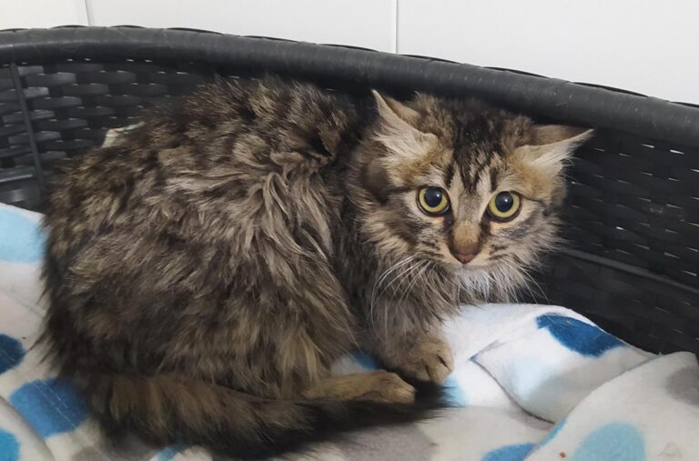 multimedia-foto68777-394-1