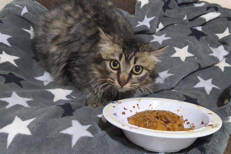 multimedia-foto68778-395-1