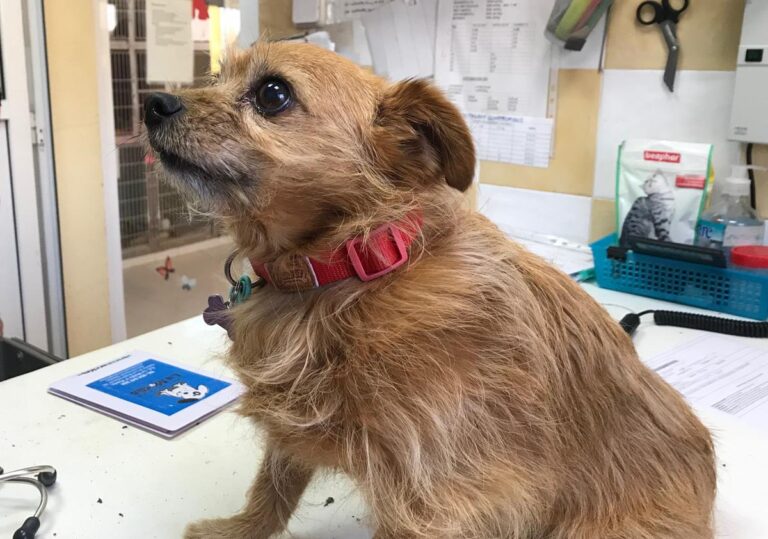 multimedia-foto68779-602-1