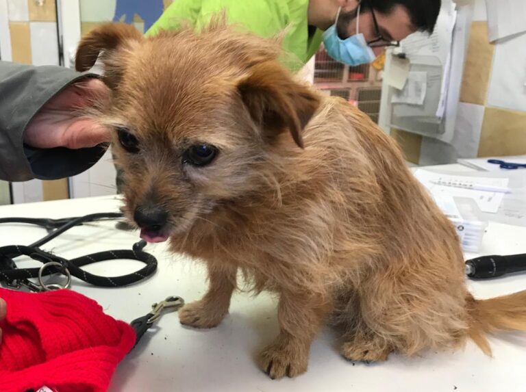 multimedia-foto68782-604-1