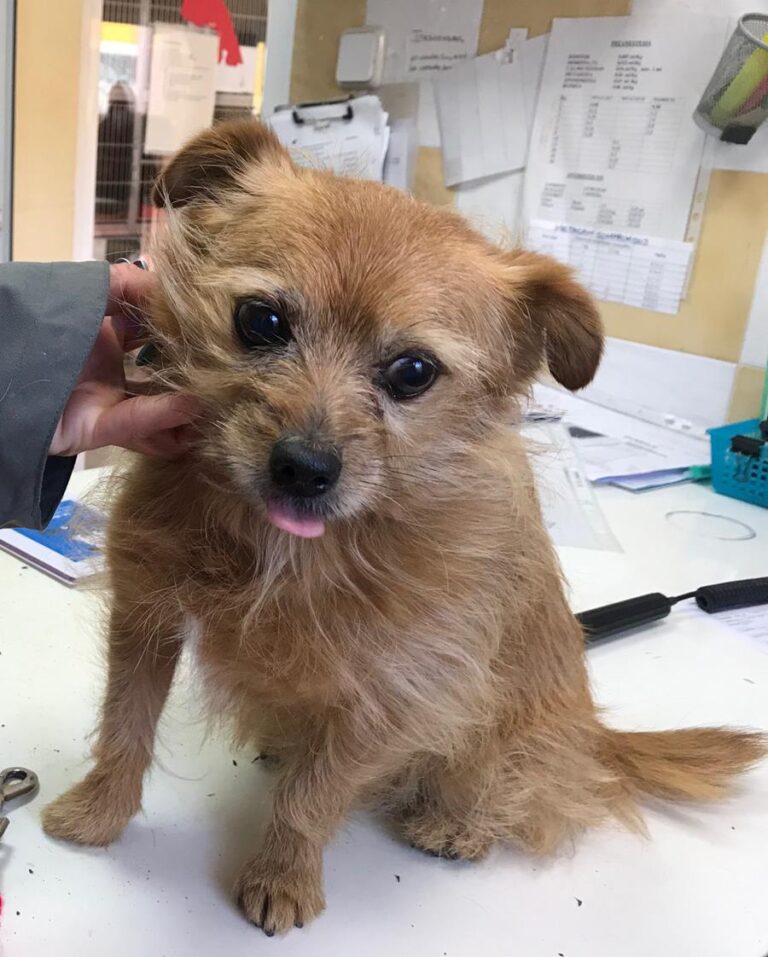 multimedia-foto68783-604-1