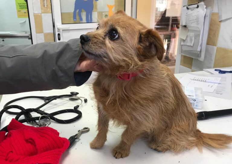 multimedia-foto68784-605-1