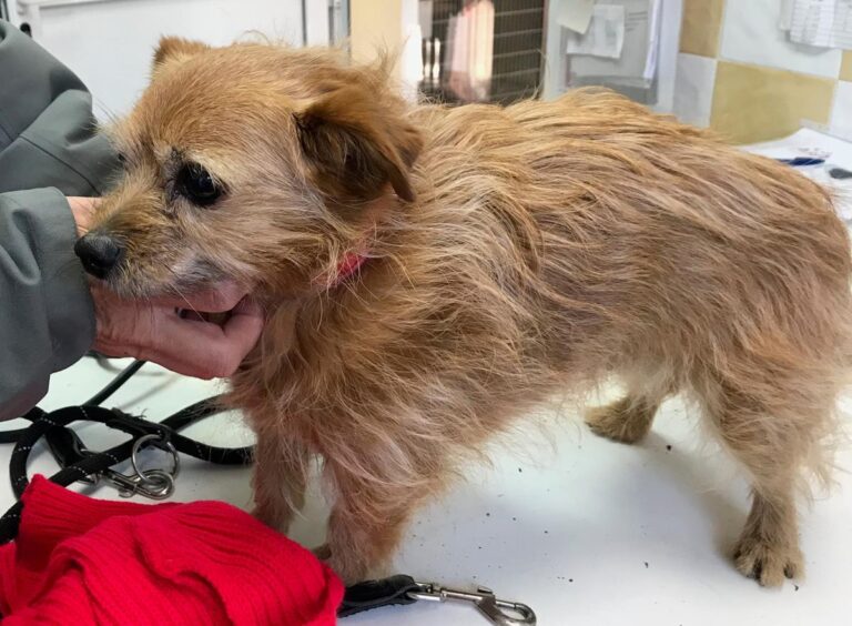 multimedia-foto68785-605-1