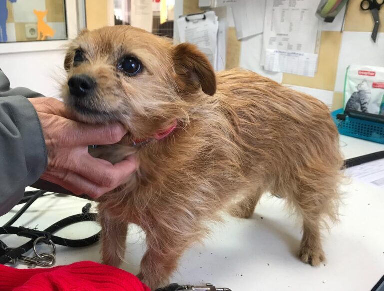 multimedia-foto68786-606-1