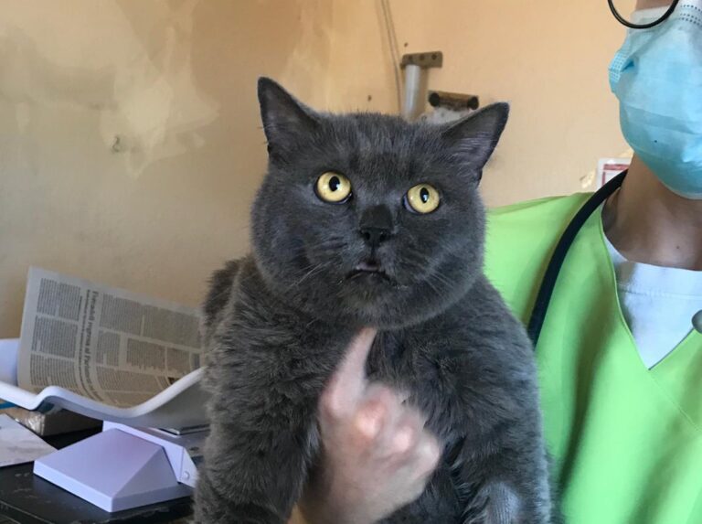 multimedia-foto68795-747-1