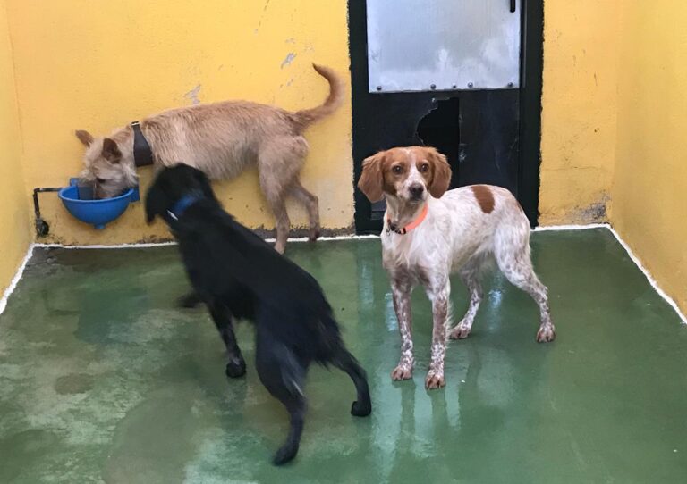 multimedia-foto68796-74-1