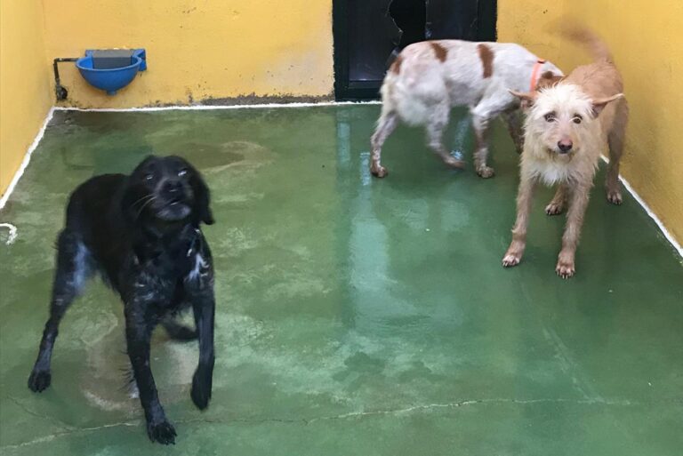 multimedia-foto68797-74-1