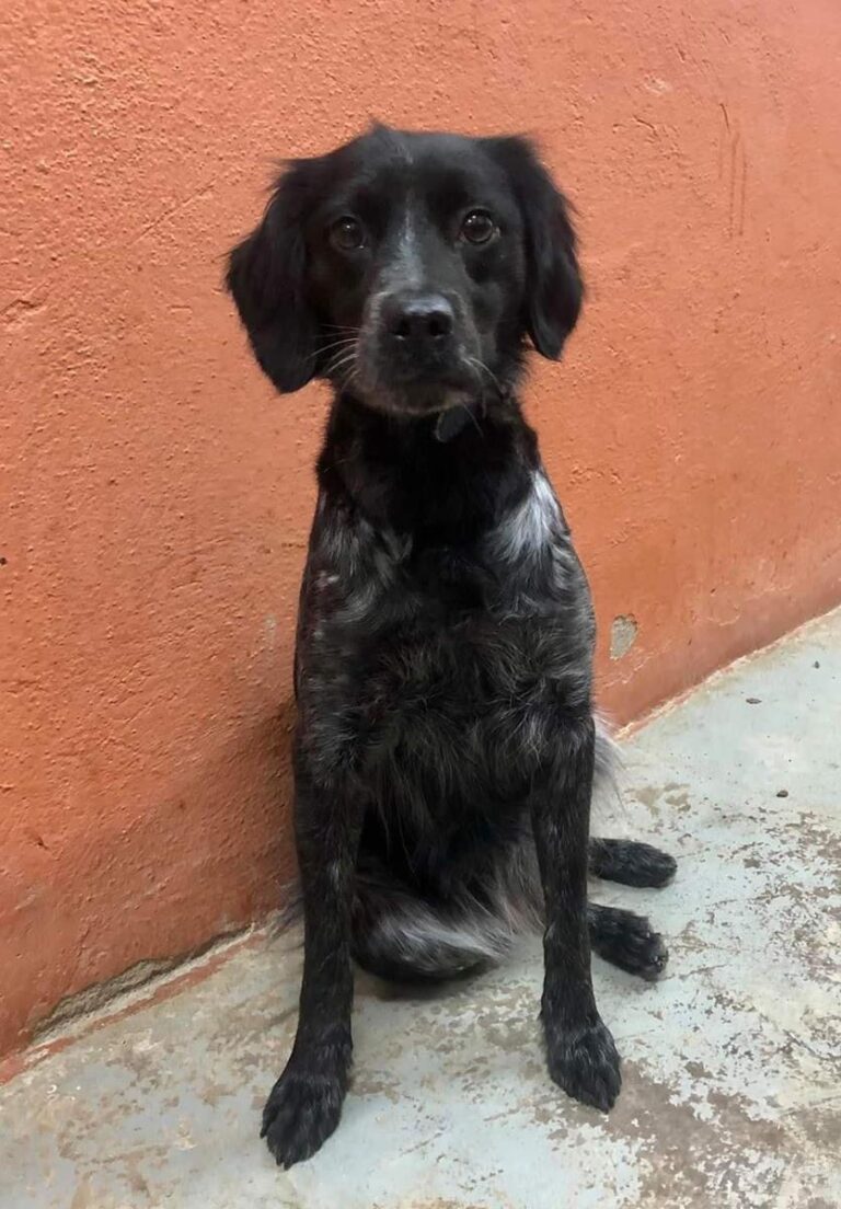 multimedia-foto68798-75-1