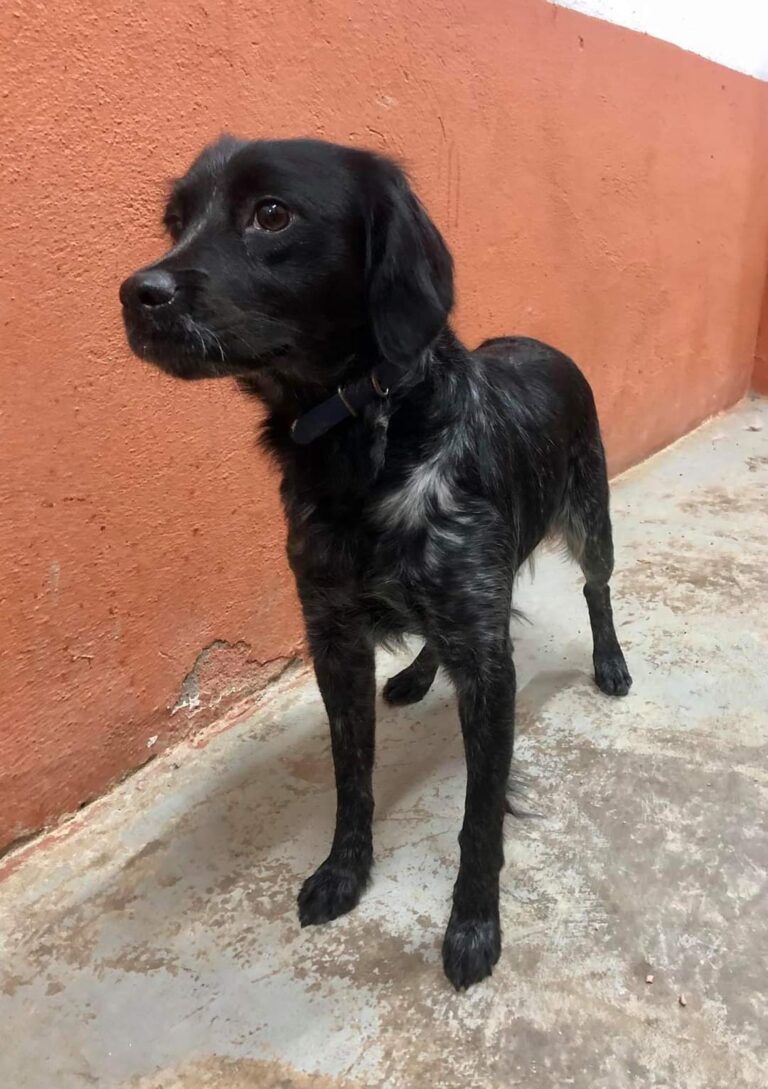 multimedia-foto68799-76-1