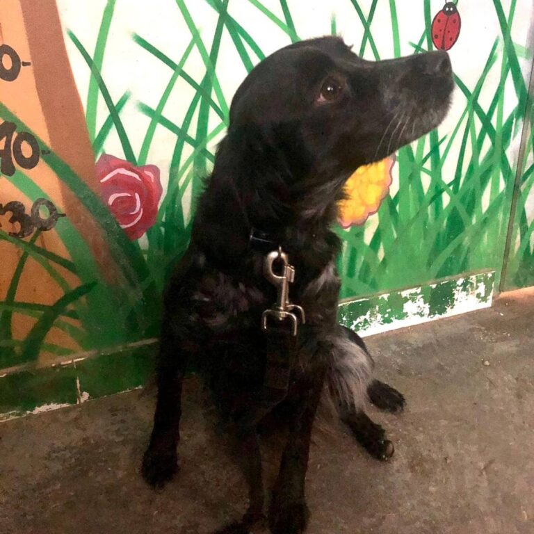 multimedia-foto68800-76-1