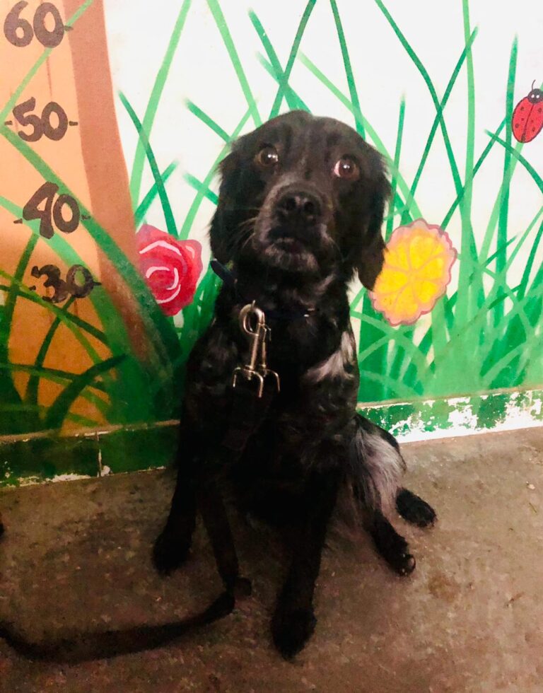 multimedia-foto68801-77-1