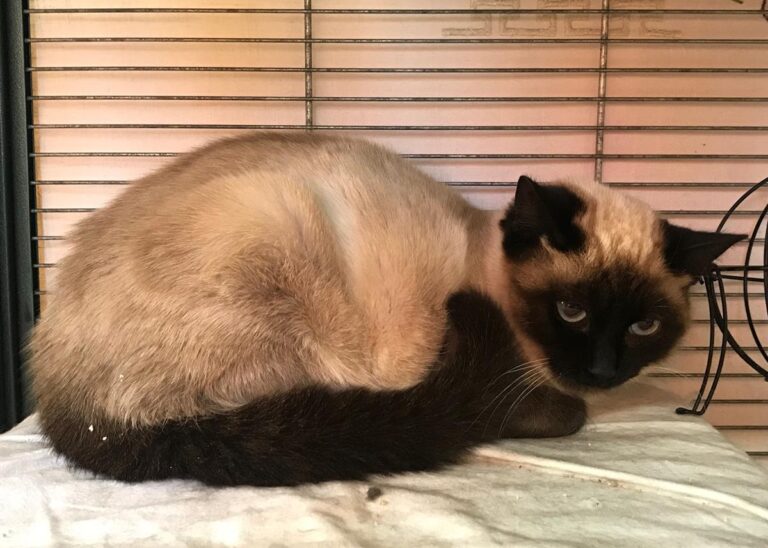 multimedia-foto68836-862-1