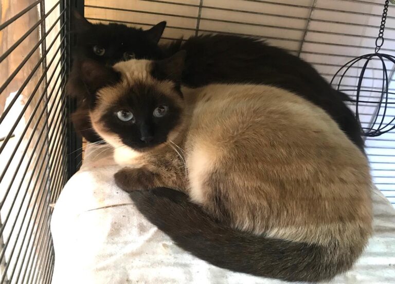 multimedia-foto68837-862-1