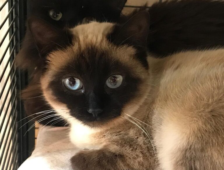 multimedia-foto68838-863-1