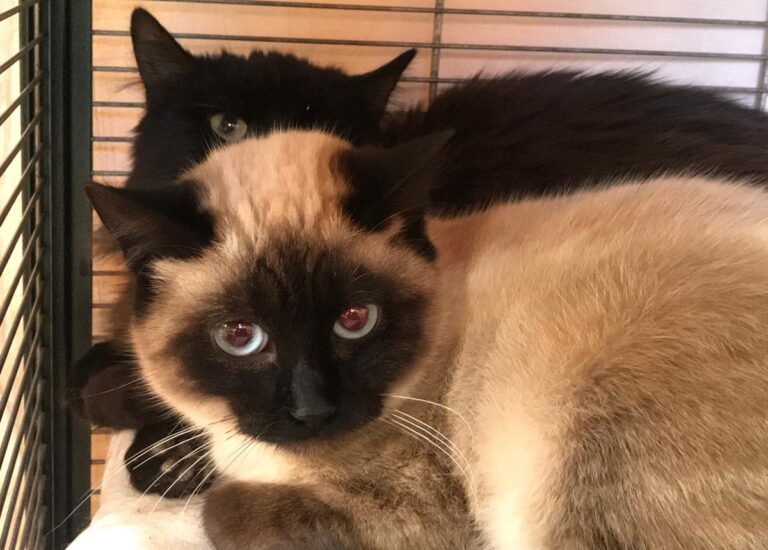 multimedia-foto68839-863-1